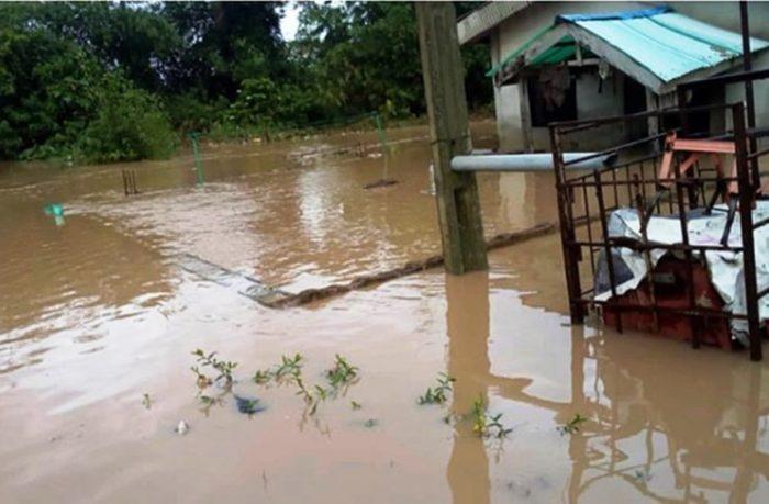 Extending kindness to yourself through insurance