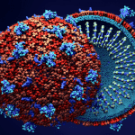 1 in every 10 persons above 50 years with COVID-19 die - NCDC