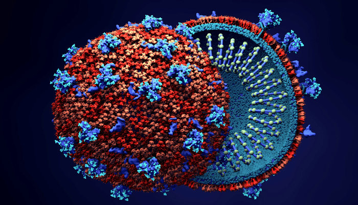 1 in every 10 persons above 50 years with COVID-19 die - NCDC