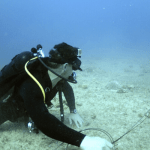 Ministry of Labour responsible for unregulated practices in diving profession - divers