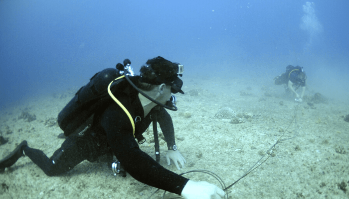 Ministry of Labour responsible for unregulated practices in diving profession - divers