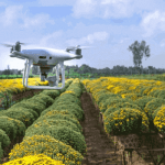 A drone hovering over a farmland