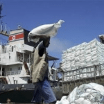 Northern Nigeria Flour Mills returns to profit amid headwinds