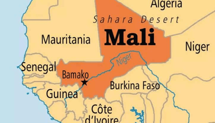 ECOWAS suspends Mali over coup