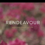 Rendeavour’s record breakers in Africa, and in Nigeria