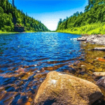 A river that forgets its’ source will dry up