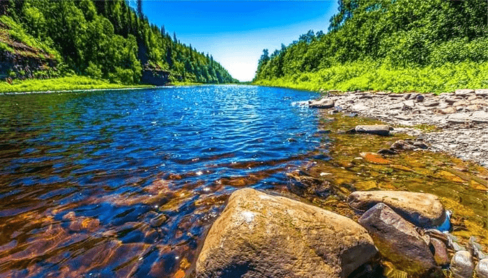 A river that forgets its’ source will dry up