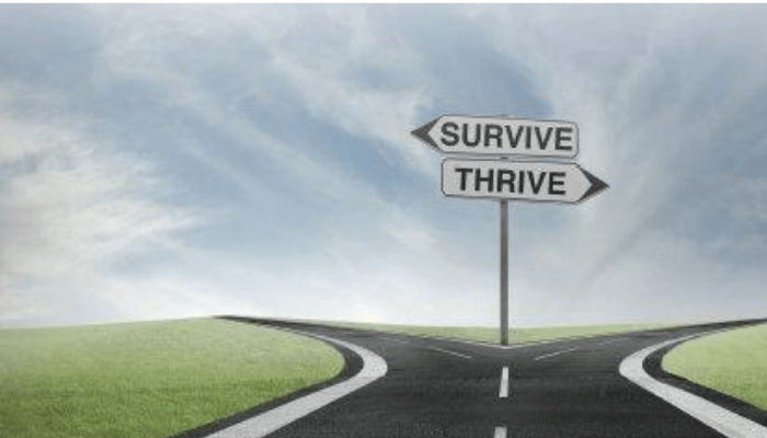 The Survival & Thriving Kit we all need