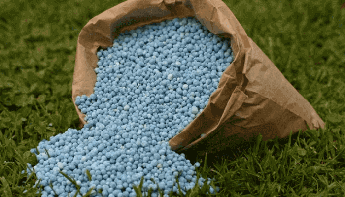 "A BAG OF FERTILIZER"