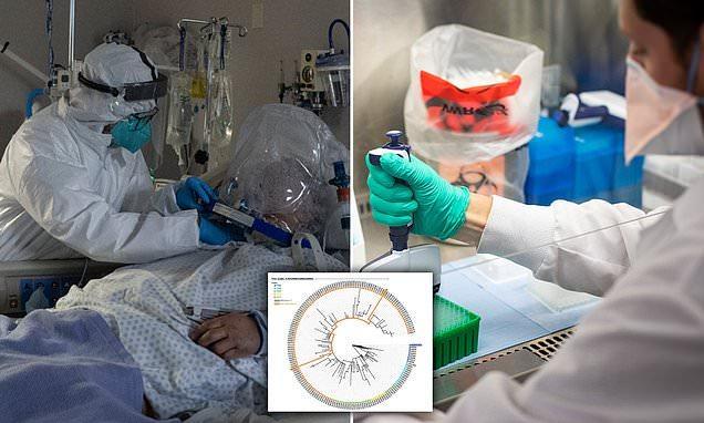 First coronavirus reinfection case with severe symptoms confirmed