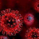 Red Coronavirus cells