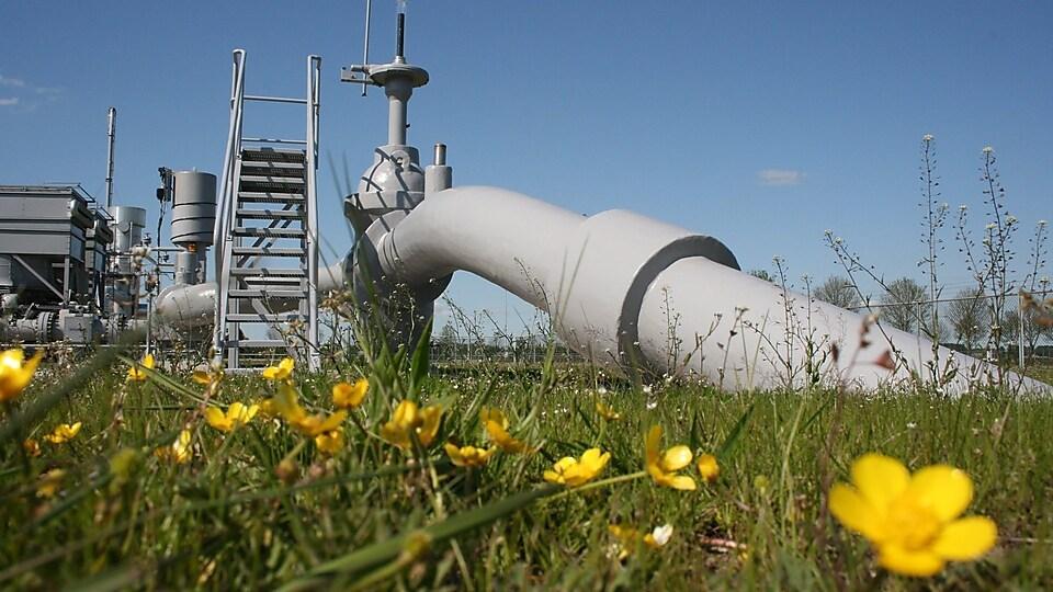 Nigeria declared 2020 year of gas, evidence shows it’s truly underway