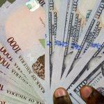 Naira stable as investors clear CBN's N70bn OMO offer