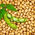 Tackling the challenges and protein deficiency in Nigeria with soybeans