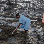 environmental justice