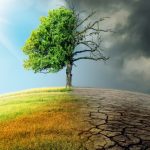 Climate change: Uzodinma, Bagudu, others seek legislation, concerted action