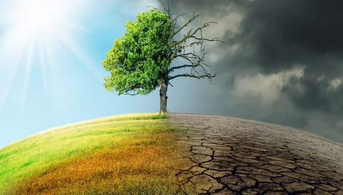 Climate change: Uzodinma, Bagudu, others seek legislation, concerted action