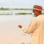 Flood washes off rice investments