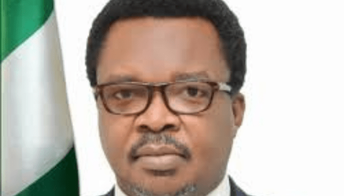 We are determined to improve electricity infrastructure in Nigeria - Ugbo