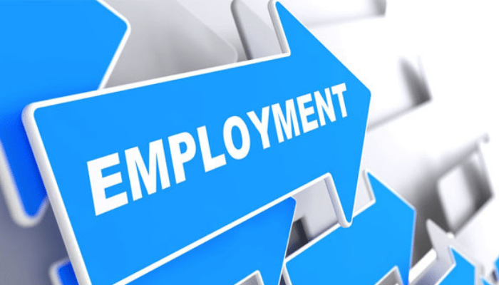 FG, UNDESA, ILO collaborate to develop roadmap for youth employment plan