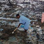 Dutch court orders Shell to compensate Nigerian farmers over oil spillage