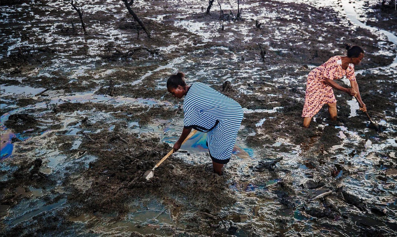 Dutch court orders Shell to compensate Nigerian farmers over oil spillage