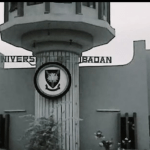 Fashola beating a new path in higher institutions infrastructure