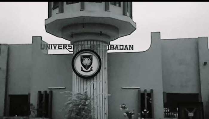 Fashola beating a new path in higher institutions infrastructure