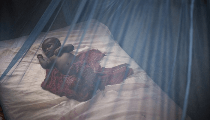 BABY IN A TREATED NET