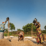 Oyo assures of food abundance as the world celebrates World Food Day