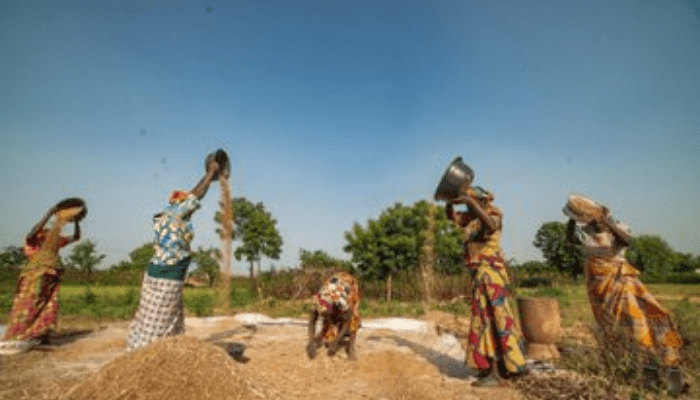 Oyo assures of food abundance as the world celebrates World Food Day