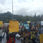 Nigeria's shooting of protesters sends wrong signal to investing community