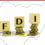 Foreign Direct Investments (FDI)