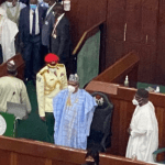 Nigeria Senate