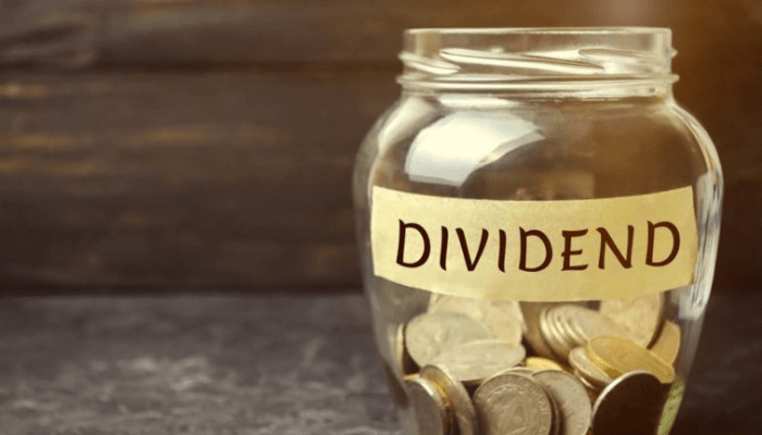 Portfolio companies dividends