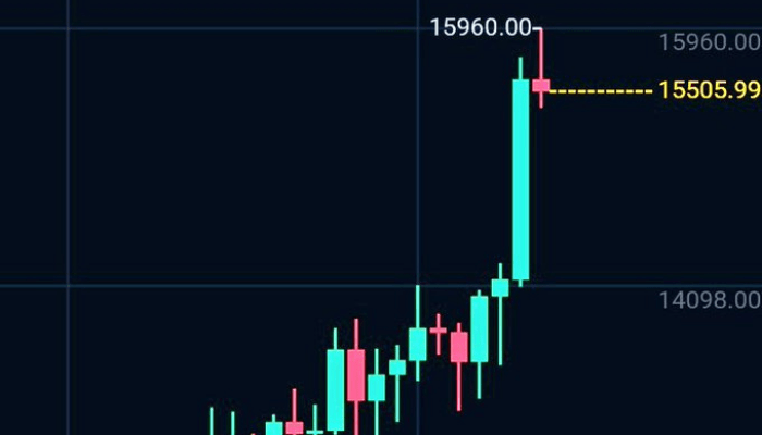 Investors who bought Bitcoin at $6400 in March rake in over 100% RoI in November