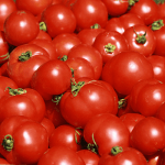 Tomato