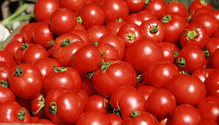 Tomato