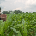 African agrotech startups