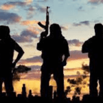 NICASA condemns alleged killing of two Nigerian citizens in S/Africa