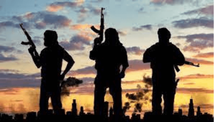 NICASA condemns alleged killing of two Nigerian citizens in S/Africa