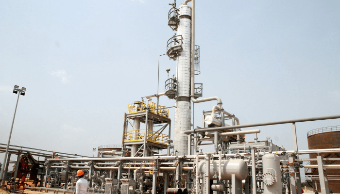 FG's gas project has made Mamuda Agro Company self-sufficient in power supply, says CEO