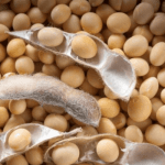 Soybeans