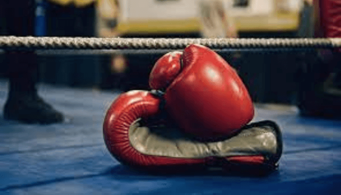 World boxing federation