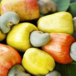 Nigeria’s cashew output