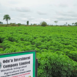 Odu’a Investment Company