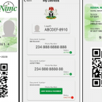 Diaspora NIN enrolments