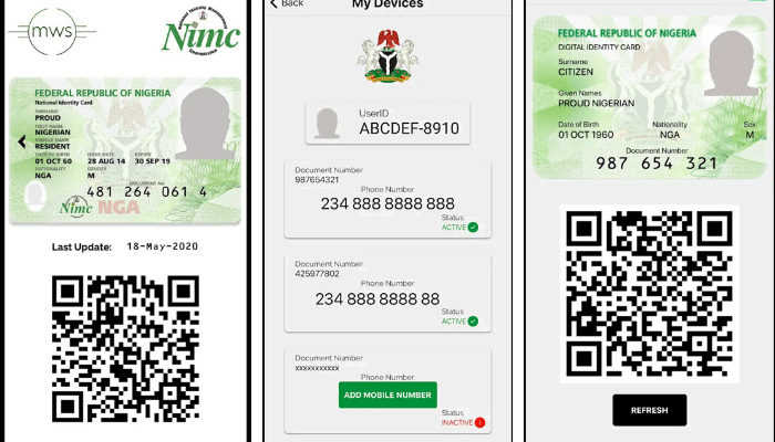 Diaspora NIN enrolments