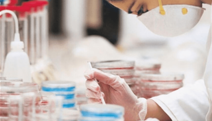 Nigerian Health sector