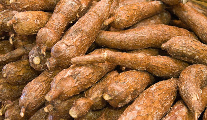 Cassava